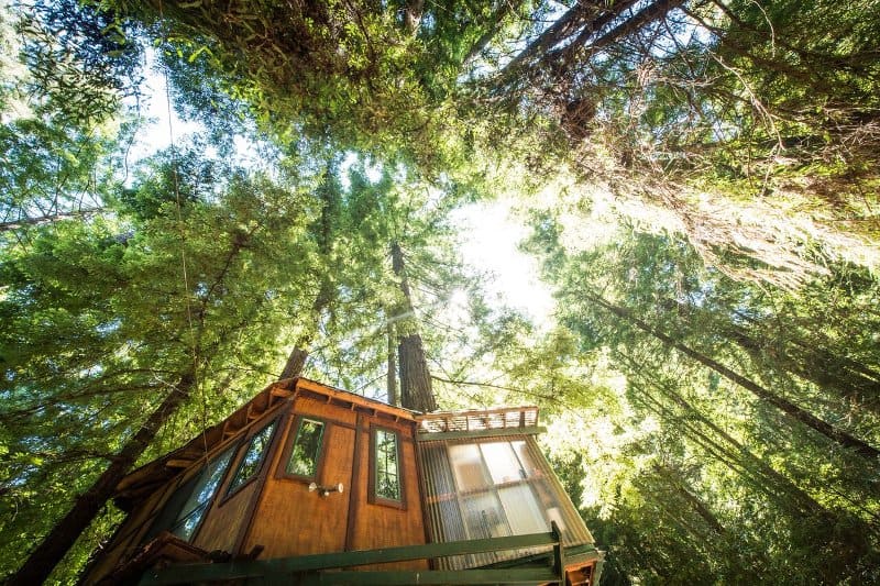 santa-cruz-mountains-treehouse